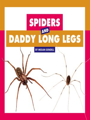 cover image of Spiders and Daddy Long Legs